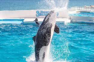 Kamogawa Sea World Hotel Pokój zdjęcie