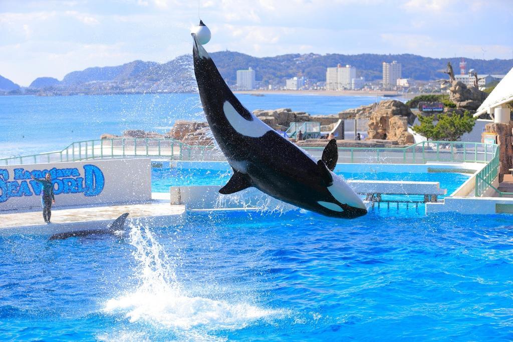 Kamogawa Sea World Hotel Zewnętrze zdjęcie