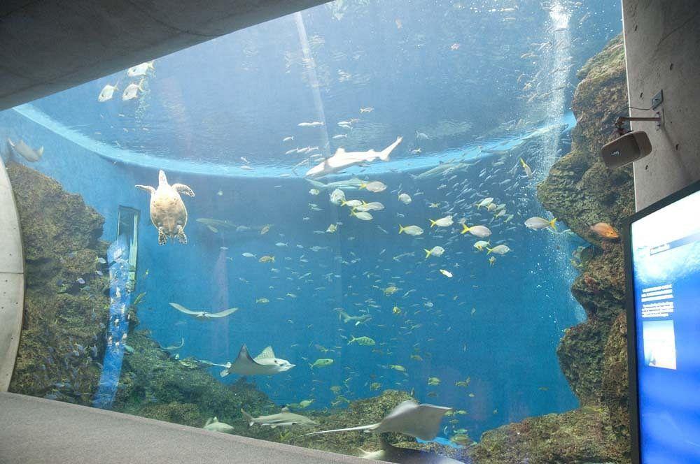 Kamogawa Sea World Hotel Zewnętrze zdjęcie