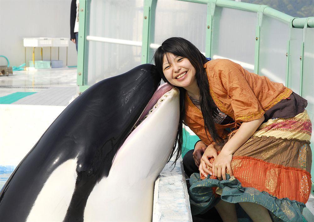 Kamogawa Sea World Hotel Zewnętrze zdjęcie