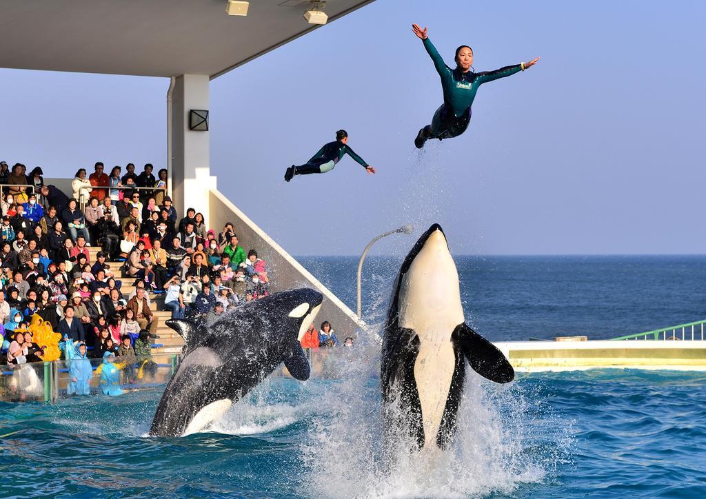 Kamogawa Sea World Hotel Zewnętrze zdjęcie