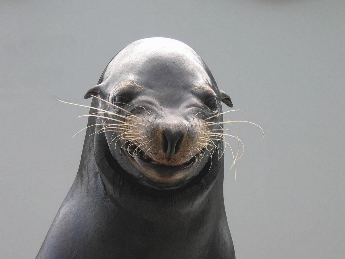 Kamogawa Sea World Hotel Zewnętrze zdjęcie