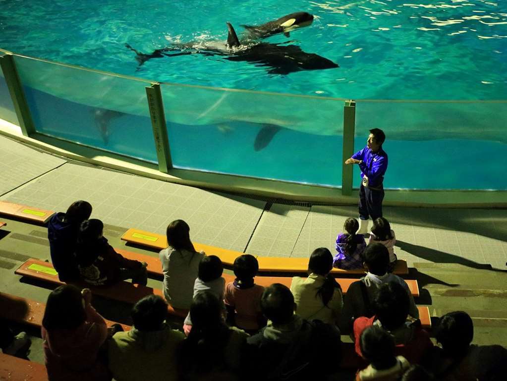 Kamogawa Sea World Hotel Udogodnienia zdjęcie