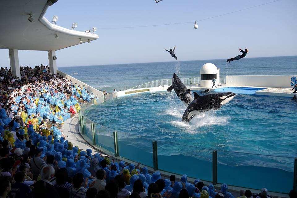 Kamogawa Sea World Hotel Udogodnienia zdjęcie