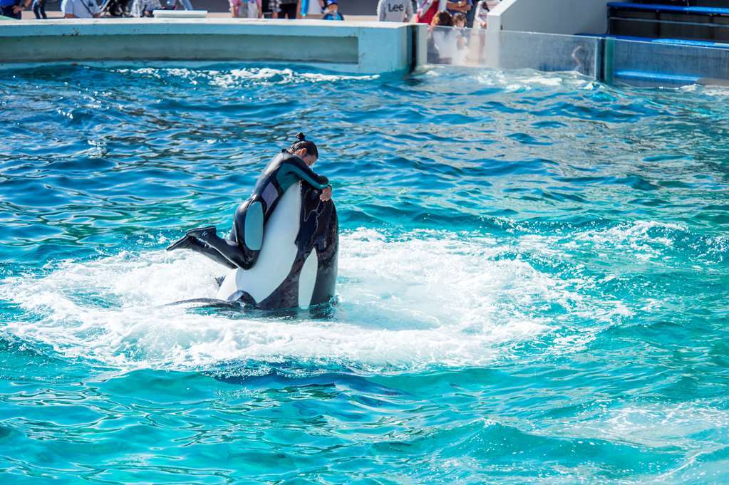 Kamogawa Sea World Hotel Udogodnienia zdjęcie